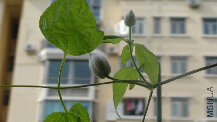 7-6��, �����Ѿ���ɫ!