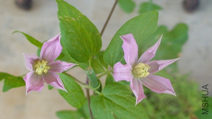 ��һ�Ƕȿ���! �����»�����дһ��!