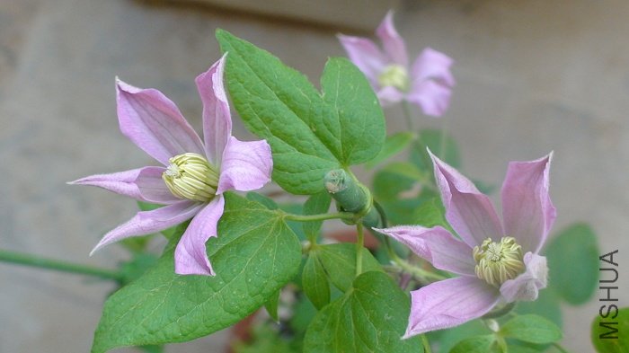 7-9��, �������������, �¿�������! �����ʱ��������������ʱ��!