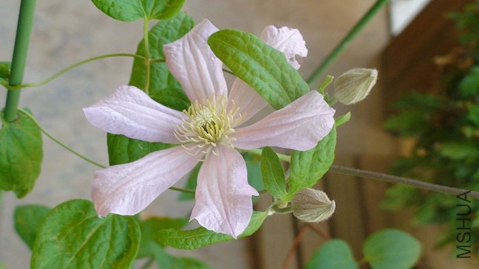 �����Ѿ���������Ķ����Ļ�, ���»���ͬ��!