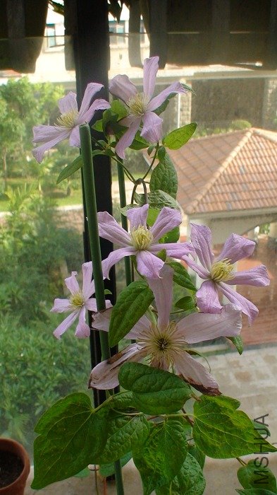 ��һ�Ƕȿ���! �����ŵ�λ������������õĵط�, ����ʵ����̫��, ��������������ĵ�!