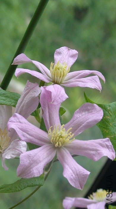 �����Ƕ�����һ��, ����? ���Լ�ϲ��!