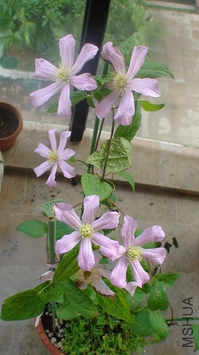 �ٸ���һ��! ������С��! ���Ѿ���ȫ���������!