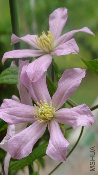 ����������ϲ����һ��! ��εķ��˵Ļ��������ƺ���̫һ��, ���Ϳ�һЩ!