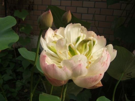 DSCF5745.JPG