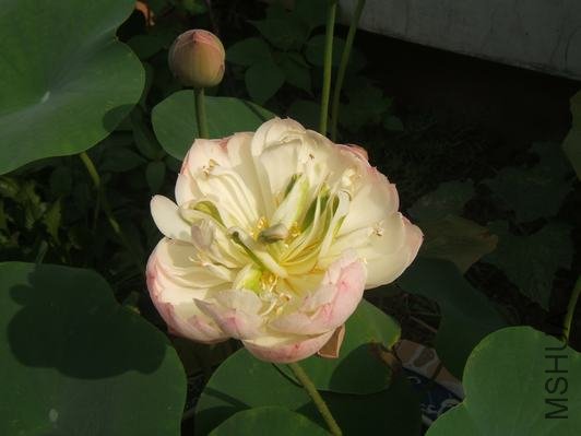 DSCF5743.JPG