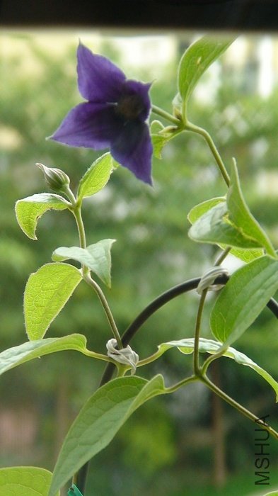 ������һ����ˣ��������в�ͬ���ҹ�����������