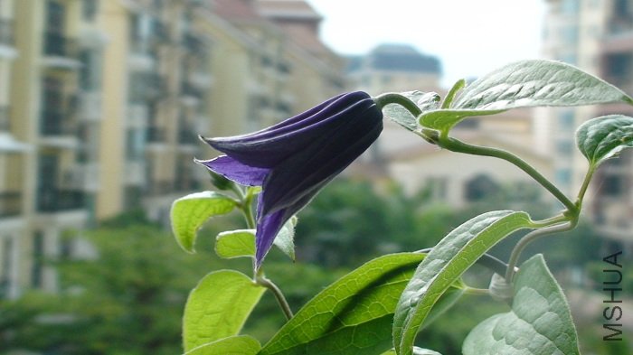 6-3�գ��״ο����� ���ǳ����տ���ʱ���ǣ� ���͵Ļ���