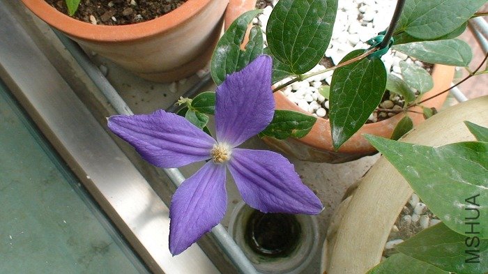 ������Ÿ��ӵ�Ч����ʮ�ֵ�Ч�������ǻ���ܷ�����