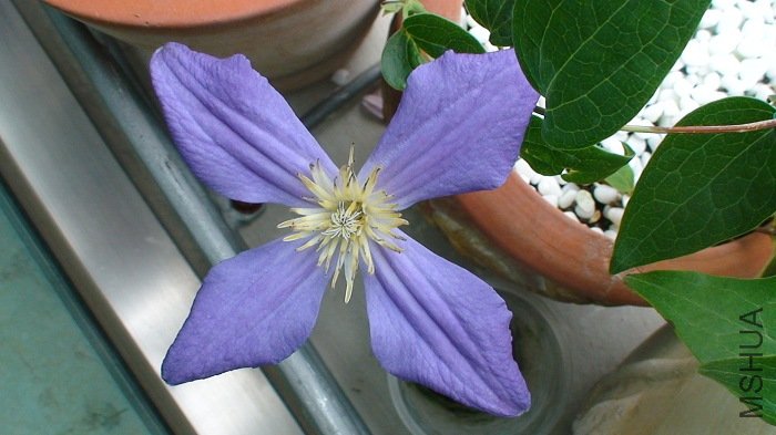 6-29�յ����ӣ��Ѿ�����7��������ػ���û������Ҳû��ϸ��һֱά�ֱȽϷ��������ӡ�