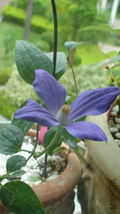 �Ƕȱ任һ�£�