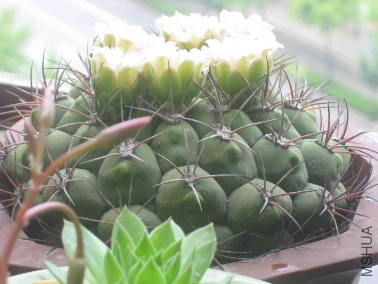 ���� 076.jpg