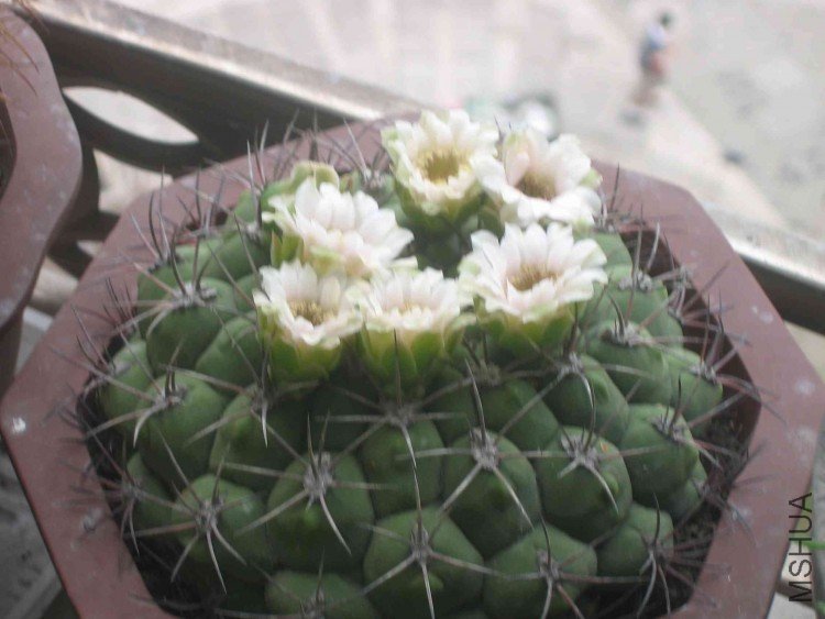 ���� 077.jpg