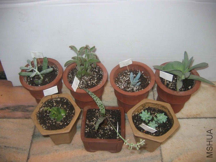 ���� 101.jpg