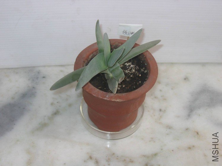 ���� 107.jpg