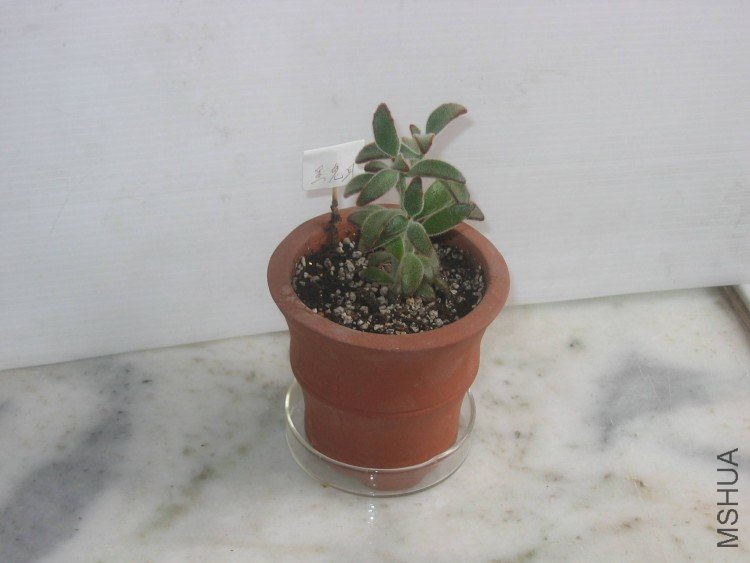 ���� 109.jpg