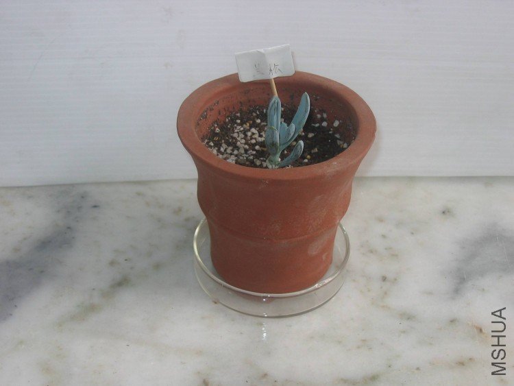 ���� 108.jpg