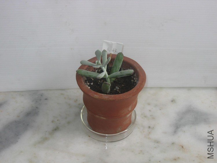 ���� 110.jpg