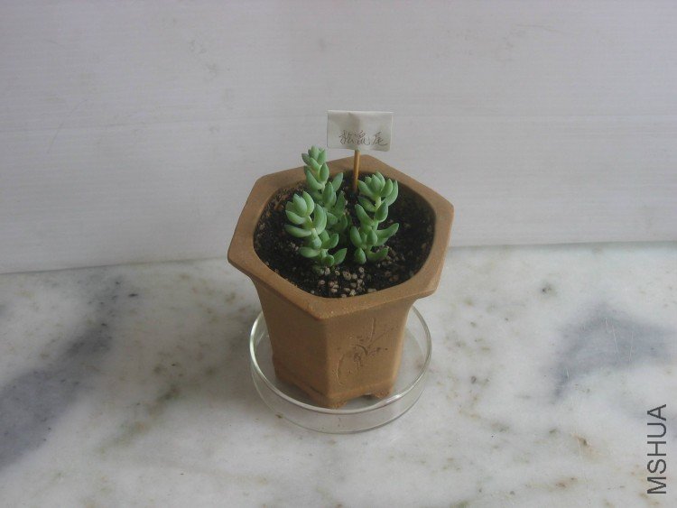 ���� 112.jpg