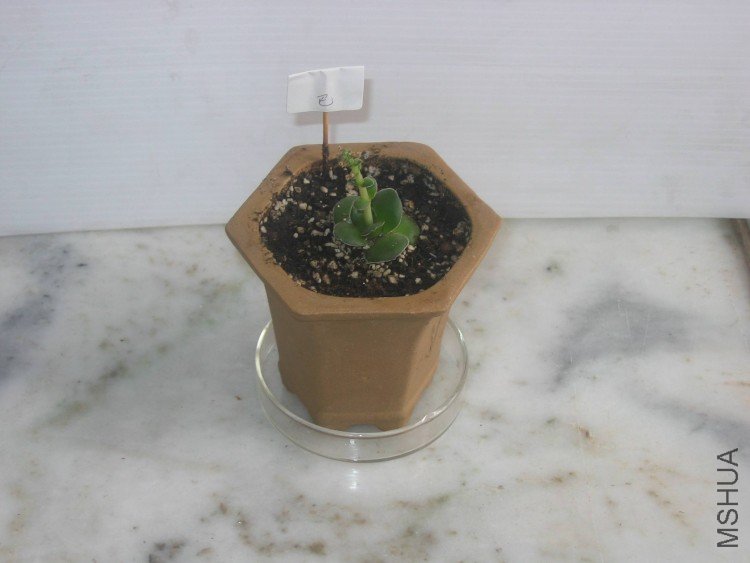 ���� 114.jpg