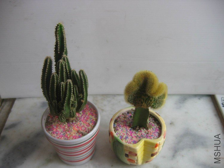 ���� 102.jpg