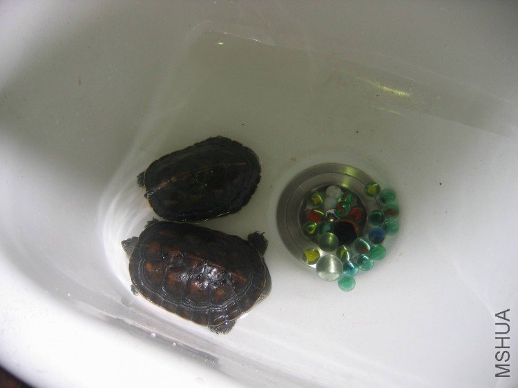 ����XIN 004.jpg