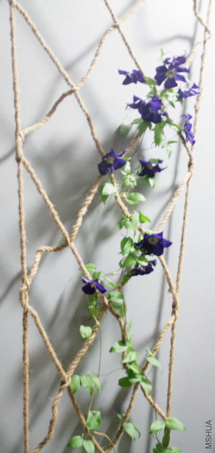 ҹ����������