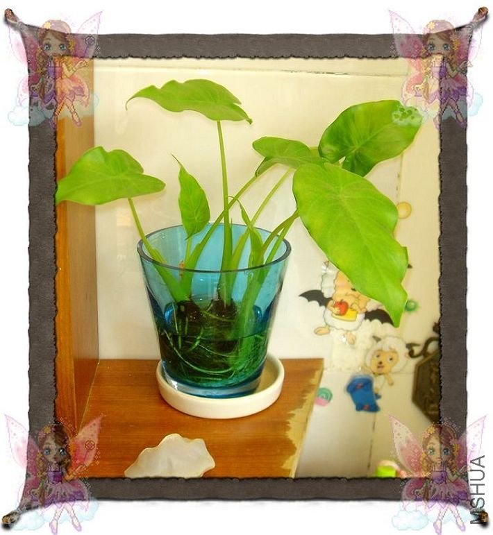 ����������С�ģ��Ǵ��ˮ�����ó��������Ż��ա����ǿô�ı����Ѵ����~~