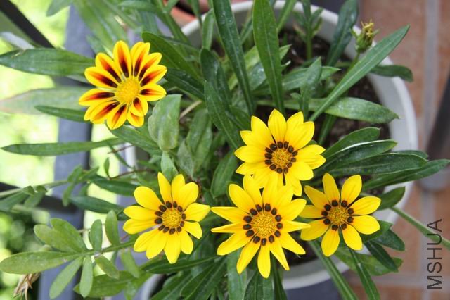 ������С ��Ƭ 023.jpg