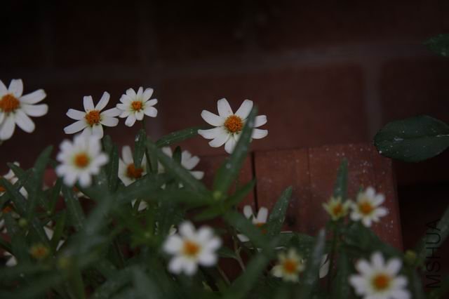 ������С ��Ƭ 031.jpg