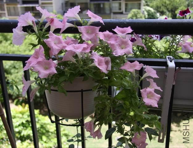 ������С ��Ƭ 030.jpg