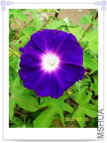 ���տ��� 011.jpg