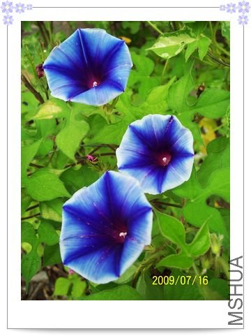 ���տ��� 018.jpg