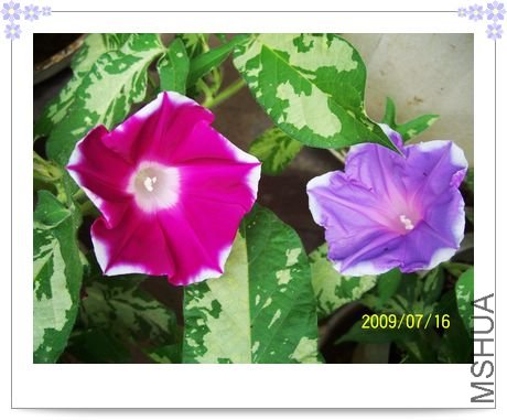 ���տ��� 028.jpg