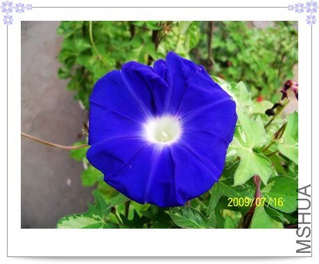 ���տ��� 030.jpg