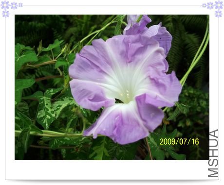 ���տ��� 003.jpg