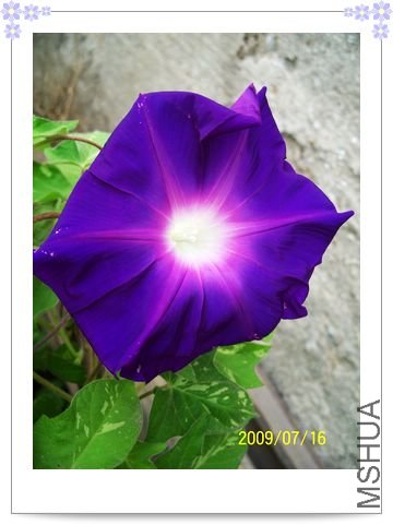 ���տ��� 012.jpg