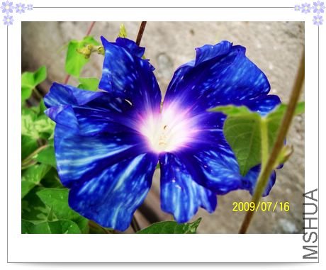 ���տ��� 013.jpg