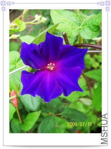 ���տ��� 008.jpg