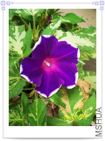 ���տ��� 027.jpg