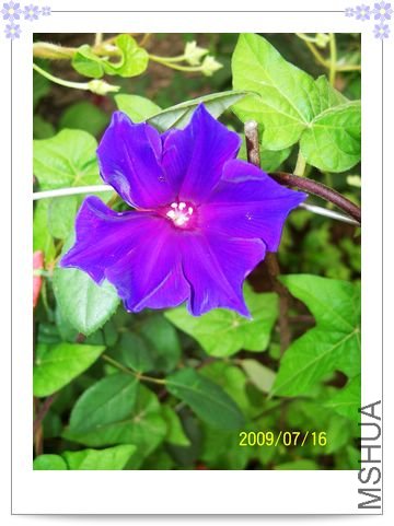 ���տ��� 007.jpg