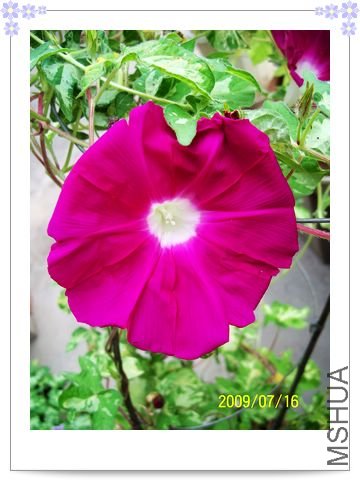 ���տ��� 026.jpg