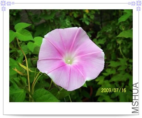 ���տ��� 020.jpg