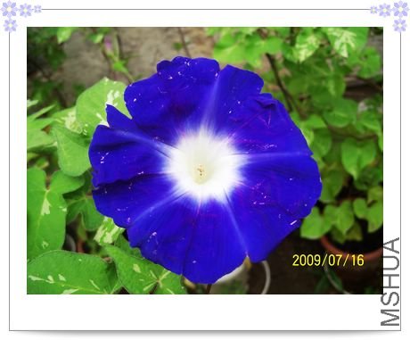 ���տ��� 019.jpg