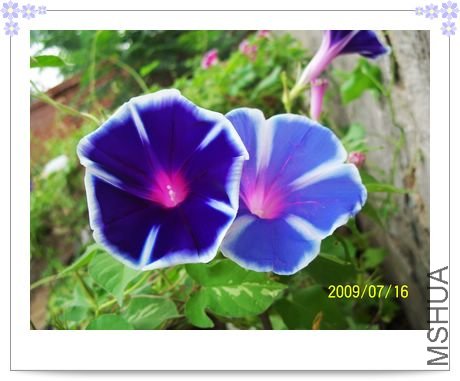 ���տ��� 016.jpg