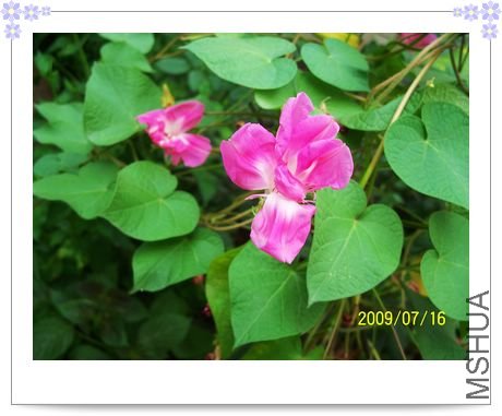 ���տ��� 010.jpg