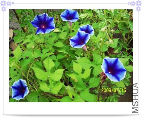 ���տ��� 017.jpg