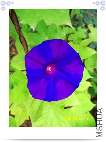 ���տ��� 009.jpg