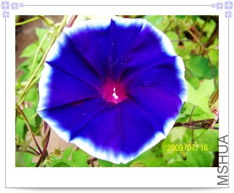 ���տ��� 023.jpg