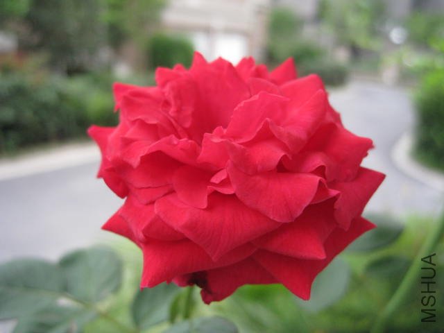 ��Ƭ 199.jpg
